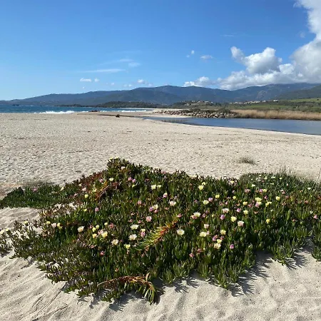 Strada Di A Cuma Vico