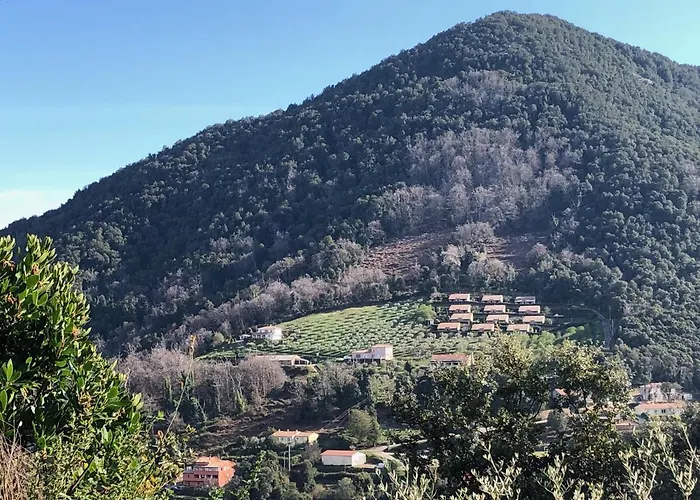 Strada Di A Cuma Vico
