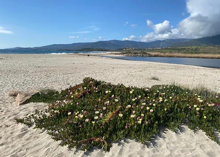 Strada Di A Cuma Vico